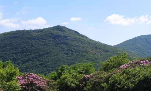 Nathan Snider, CPA, PC