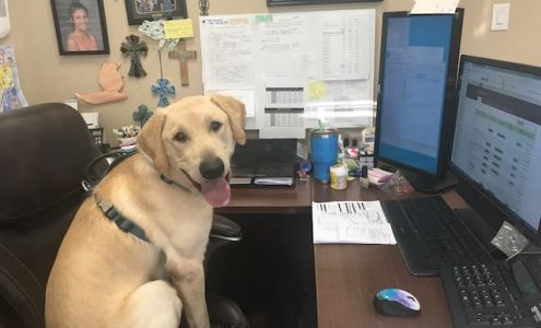 Katy LaBarbera CPA, PC