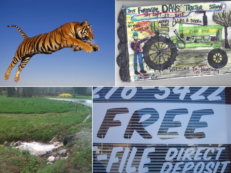 TLC Tax and Business Service