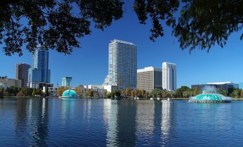 Laus Consulting Services LLC