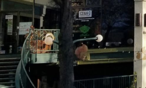 The Henry Levy Group