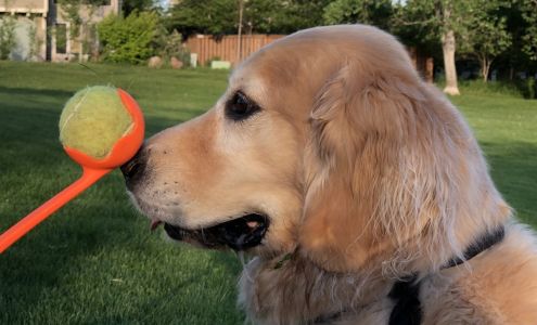 Gunbarrel Veterinary Clinic: Feller Michelle DVM