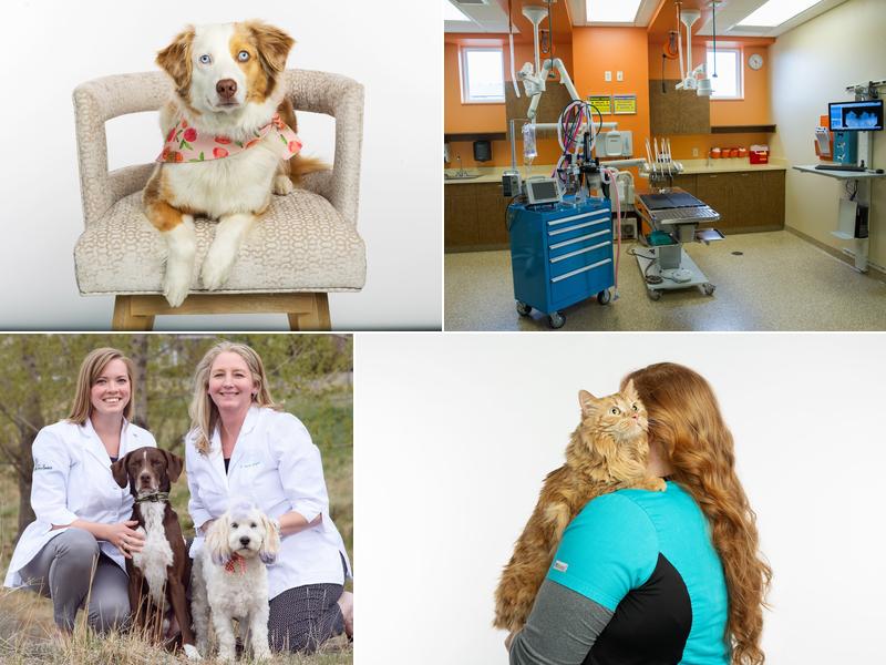 The Meadows Veterinary Center