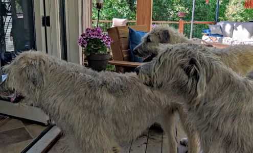 Poudre River Veterinary Clinic 6325 E Aspen Ridge Ct, Fort Collins Colorado 80524