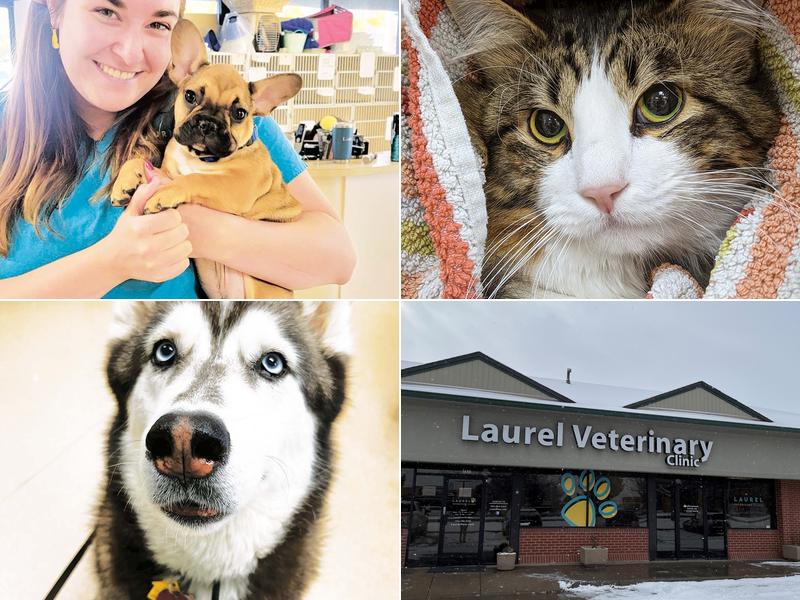 Laurel Veterinary Clinic