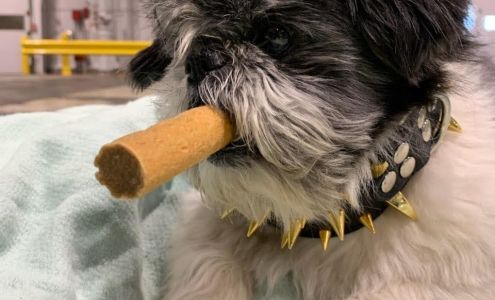 Moon Veterinary Hospital