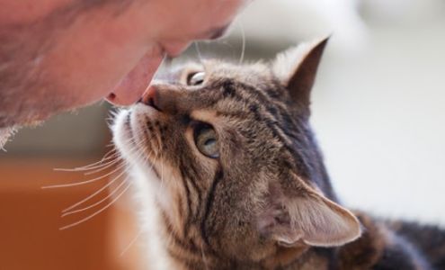 Humane Society of Boulder Valley