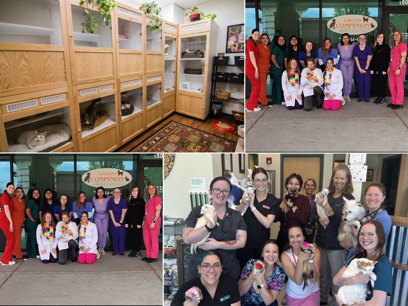 Lafayette Companion Animal Hospital