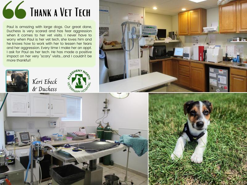 Allegheny North Veterinary Hospital