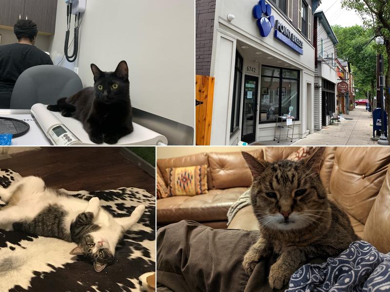 Point Breeze Veterinary Clinic