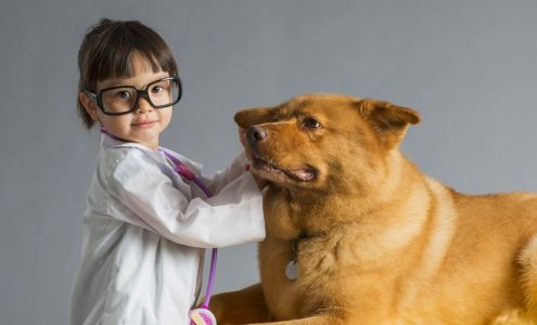 Downtown Animal Care Center