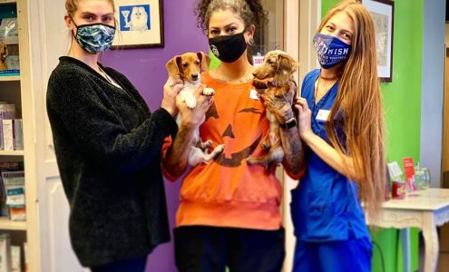 Park Hill Veterinary Medical Center