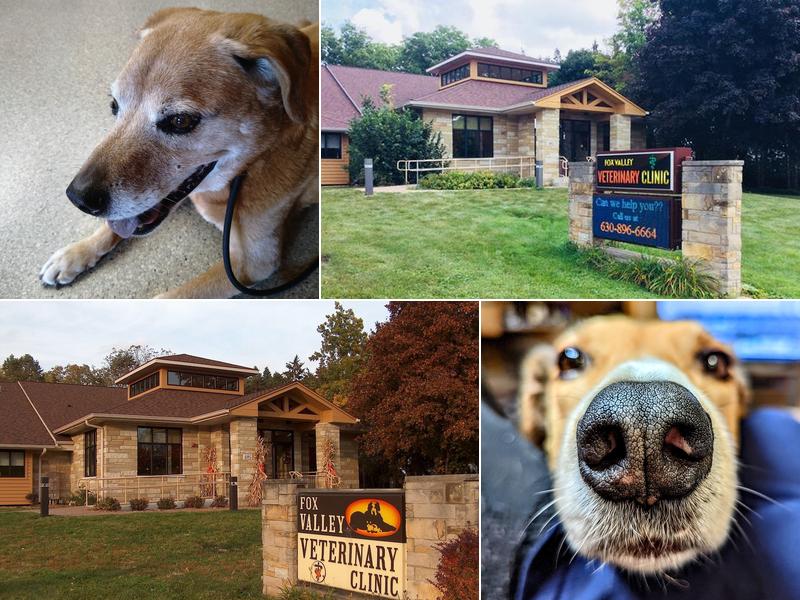 Fox Valley Veterinary Clinic