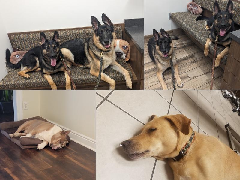 Greenfield Veterinary Hospital