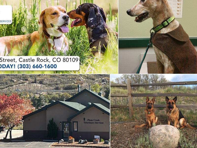Plum Creek Veterinary Services