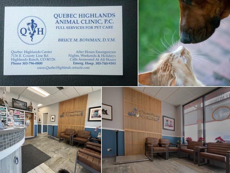 Quebec Highlands Animal Clinic