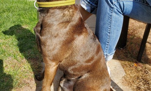 Park Animal Hospital and Wellness Center