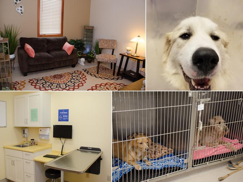 River Valley Veterinary Hospital | Fox Chapel | Oakmont | Springdale