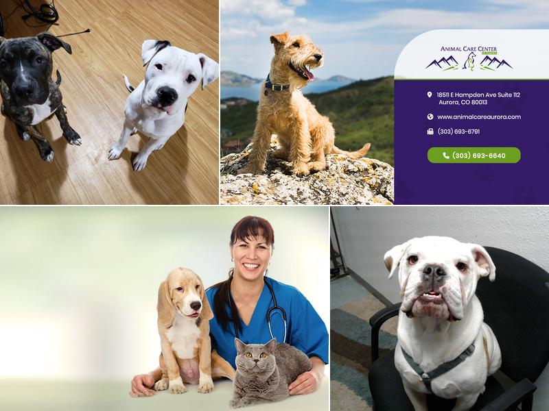 Animal Care Center of Aurora