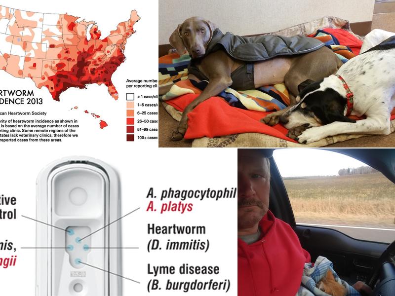 Clayton Veterinary Care