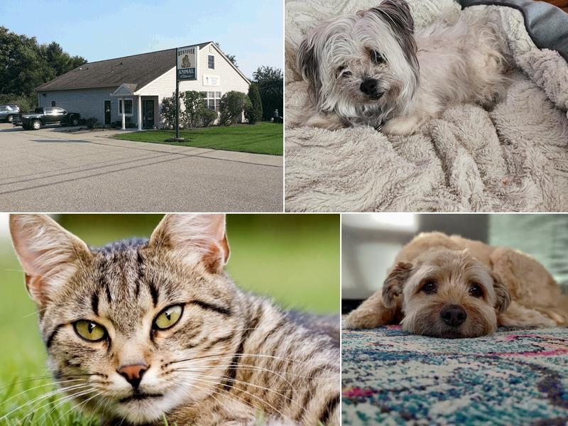 Westover Animal Clinic: Nowlan Melita N DVM