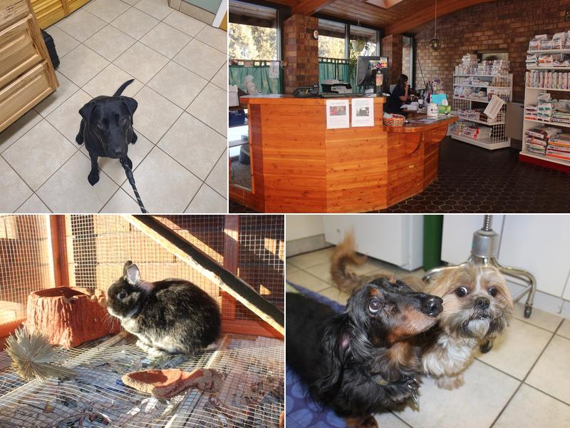 Alpine Veterinary Hospital