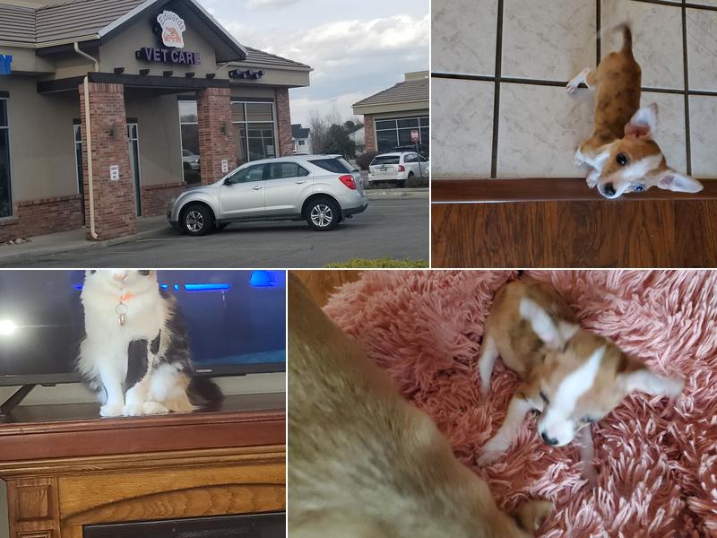 Edwards Veterinary Care