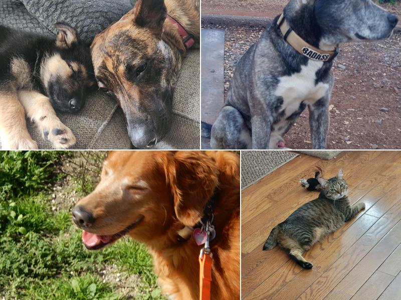 Mono Way Veterinary Hospital: Gerich Lill DVM