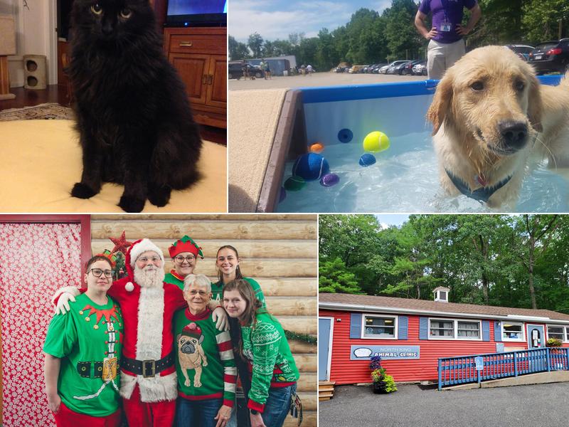 North King Animal Clinic