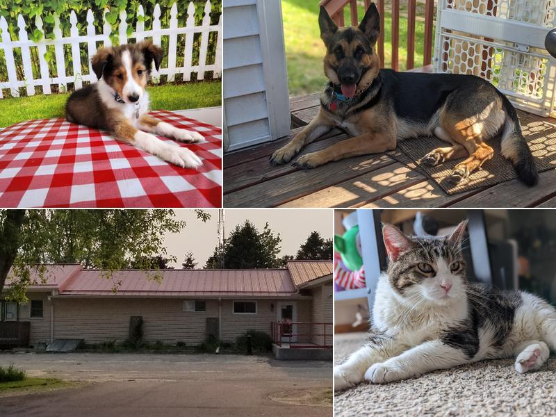 Adams Marquette Veterinary Service Inc