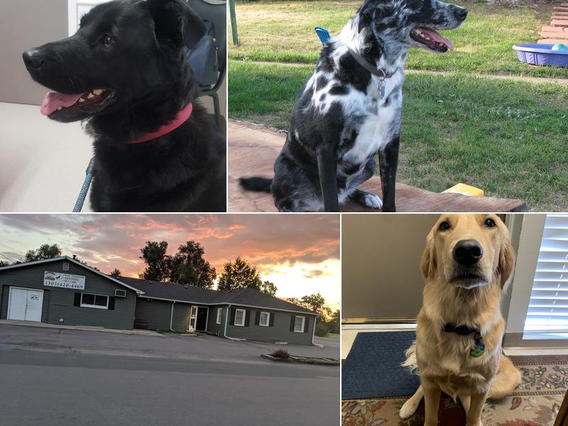 Westridge Veterinary Hospital