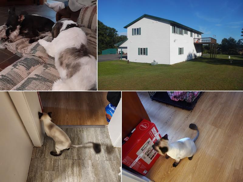 Pine Knoll Veterinary Clinic