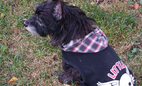 Ligonier Animal Clinic