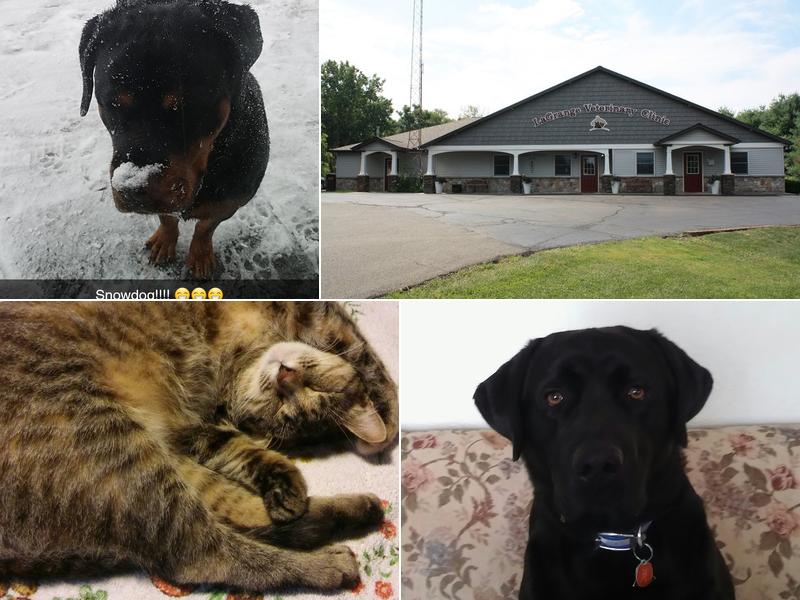 Lagrange Veterinary Clinic