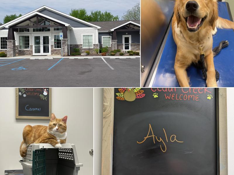 Cedar Creek Veterinary Clinic