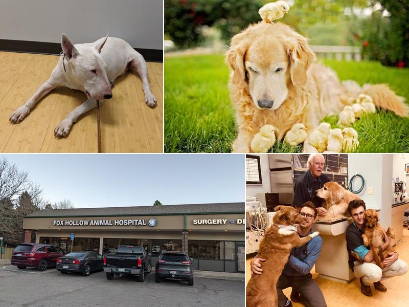 Fox Hollow Animal Hospital