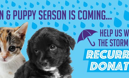 Animal Friends Alliance