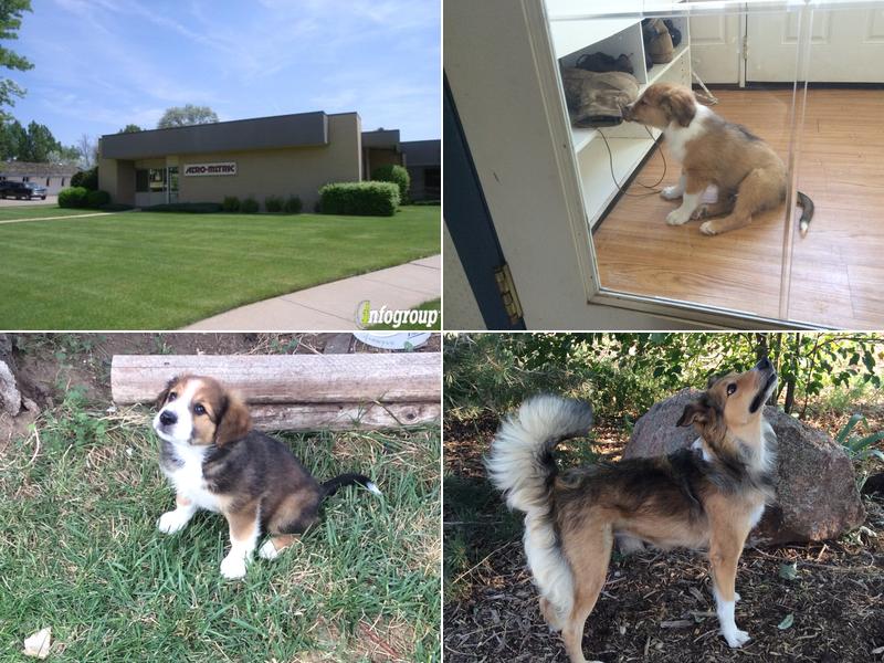 Mc Clelland Brenda DVM