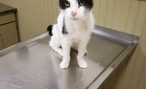 Post Road Veterinary Hospital Charlton