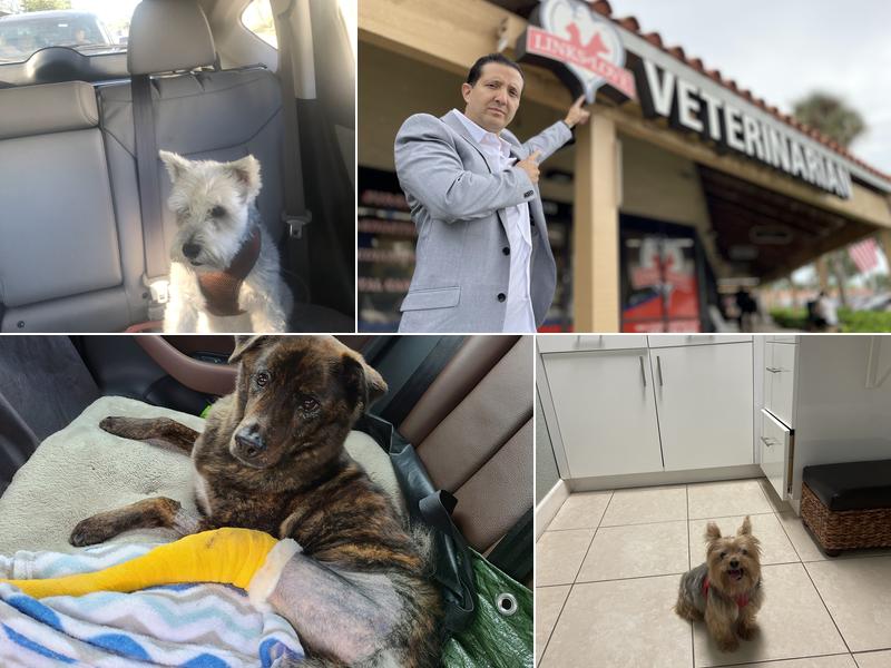 Links of Love Veterinary Clinic