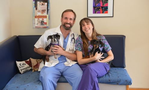 Sabal Chase Animal Clinic