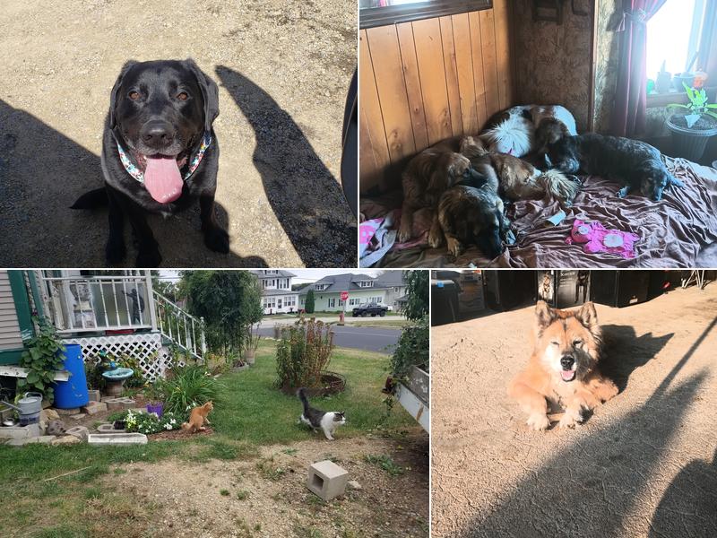 Argyle Veterinary Service SC