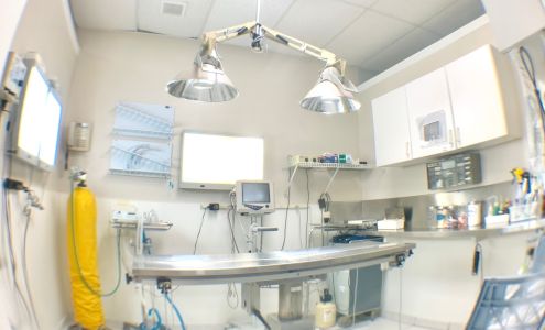 St. Francis Veterinary Clinic