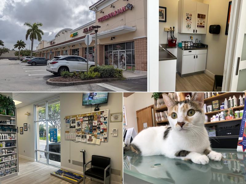 Animal Medical Center & Spa