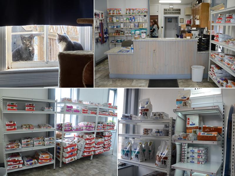 Mt Carroll Veterinary Clinic