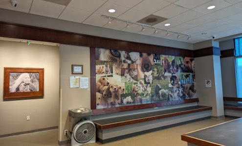 Hamlett Spay & Neuter Clinic Colorado Springs