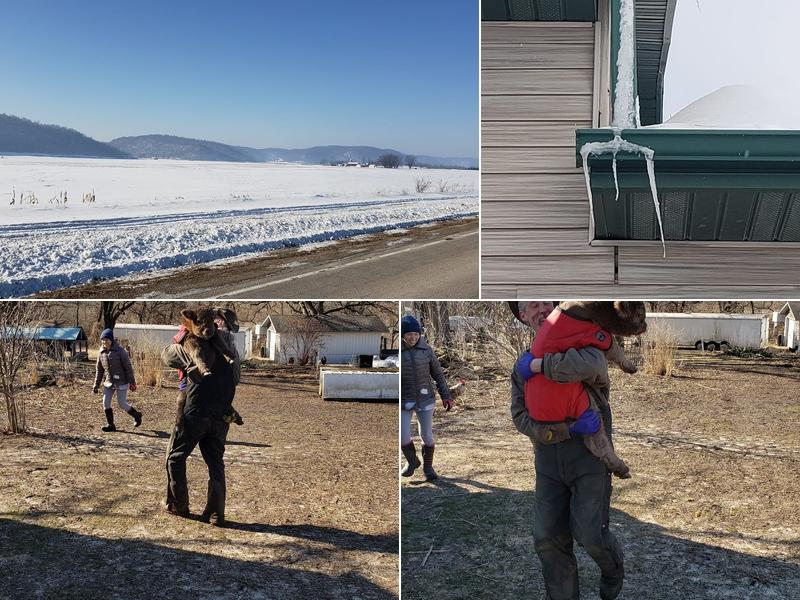 Military Ridge Veterinary Service