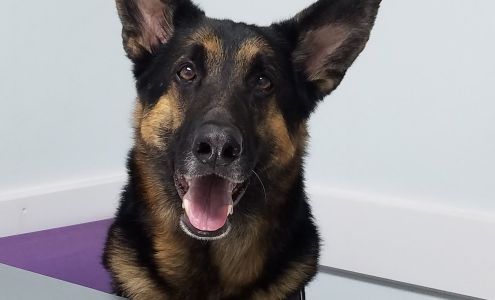 High Country Veterinary Hospital