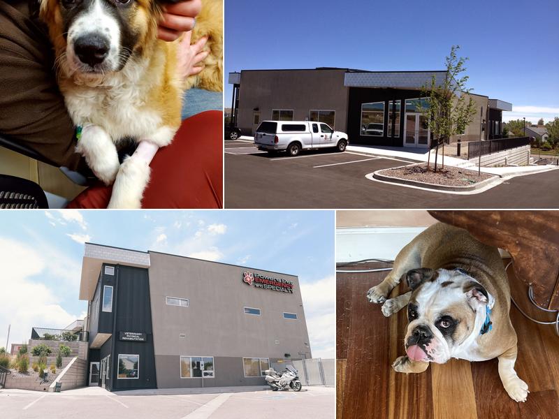 Powers Pet Emergency and Specialty