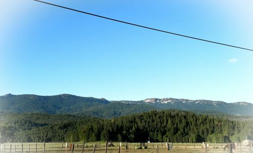 American Valley Animal Hospital 77 Alta Ave, Quincy California 95971